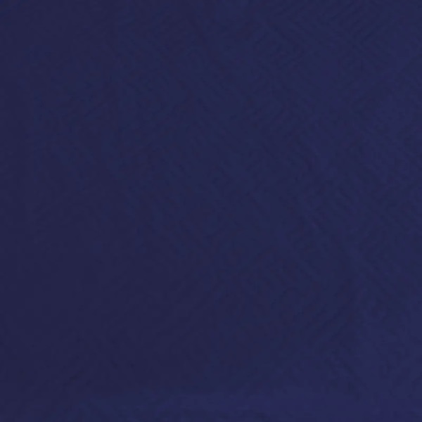 Navy Blue (2)