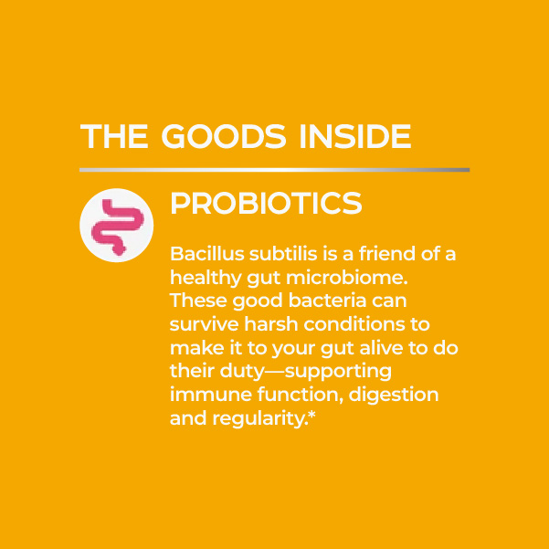 PROBIOTIC_GUMMIES536783__e4014e36