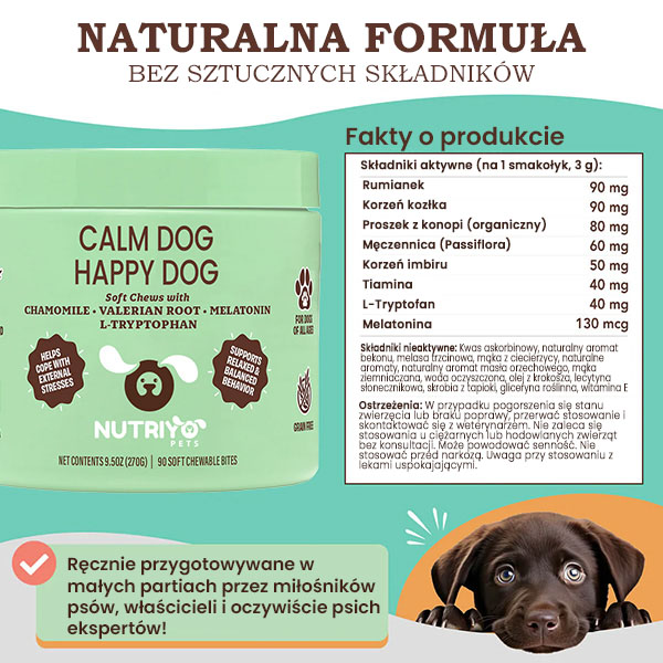 CALM-DOG-HAPPY-DOG9647812__230525