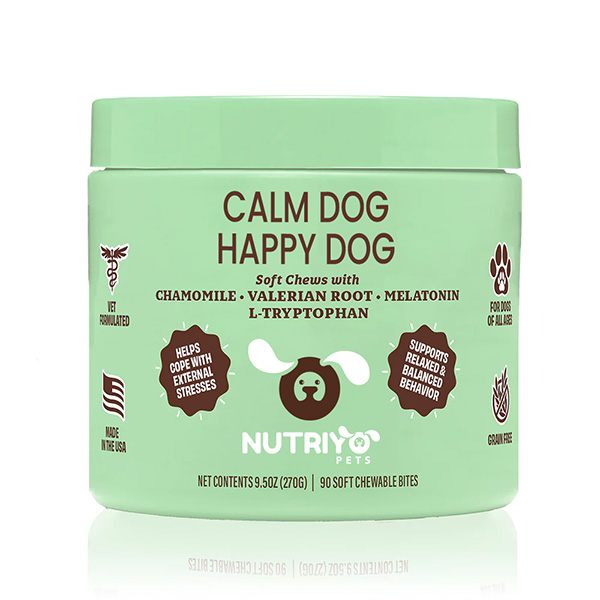 CALM-DOG-HAPPY-DOG964787__230525