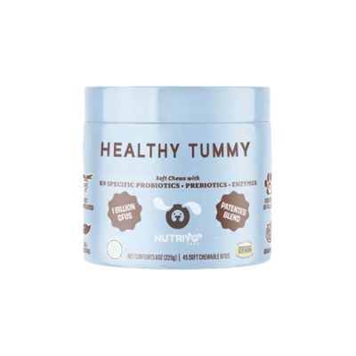 Supports digestion and promotes immune system | HEALTHY TUMMY