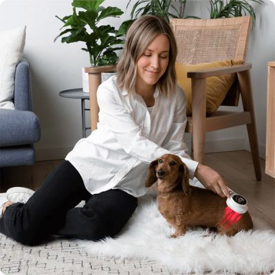 Red led therapy for dogs - joints, inflammation and damaged tissue | LASER THERAPY FOR PETS