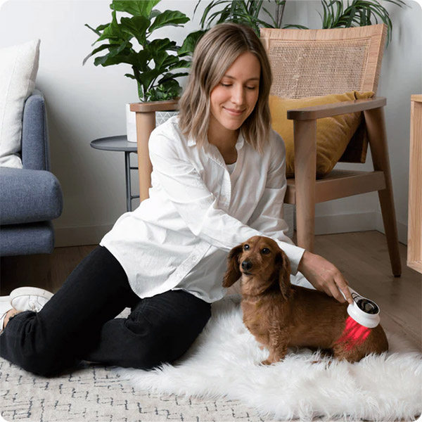 LASER_THERAPY_FOR_PETS4593815__300525