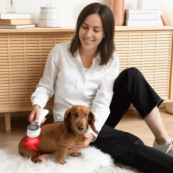 LASER_THERAPY_FOR_PETS4593821__300525