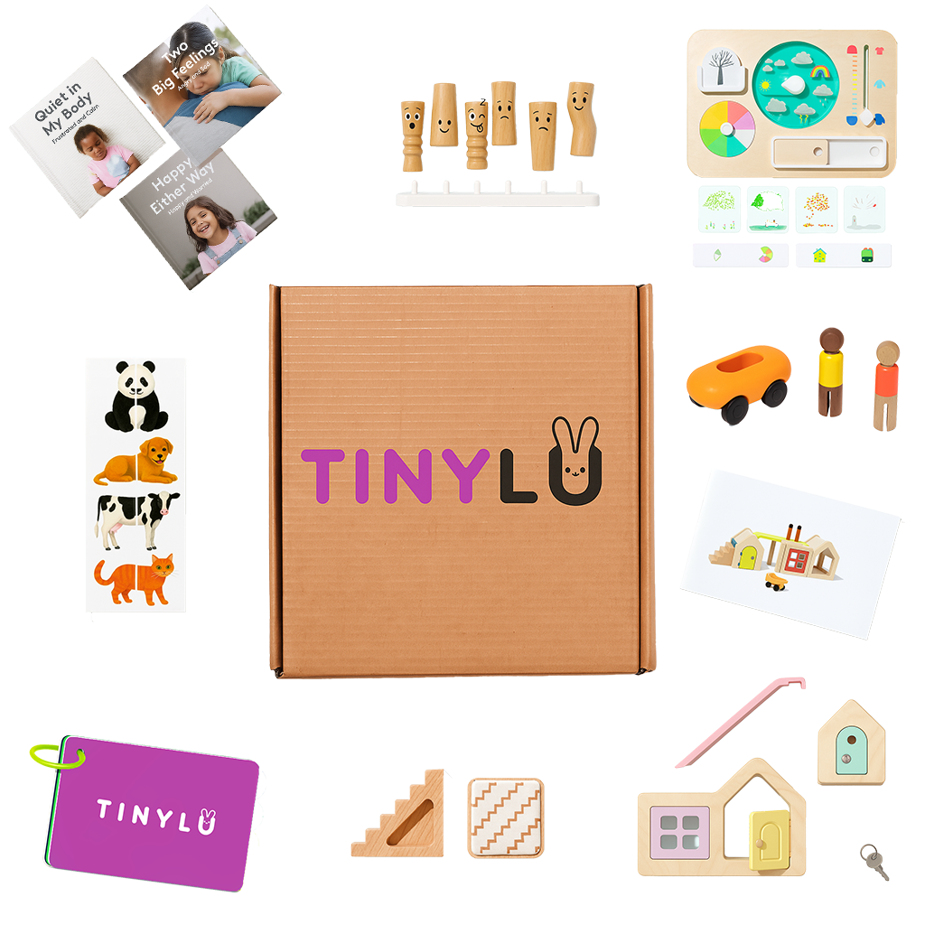 TINYOBSERVE-903471__040725