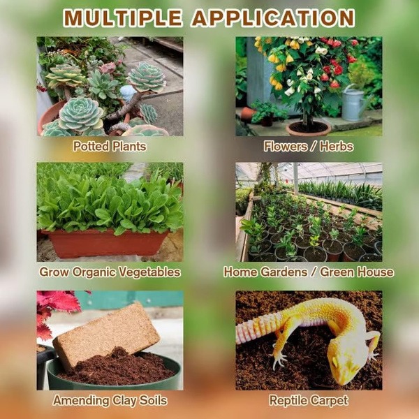 PLANTCOIR-3831127628885-EN-4__221225