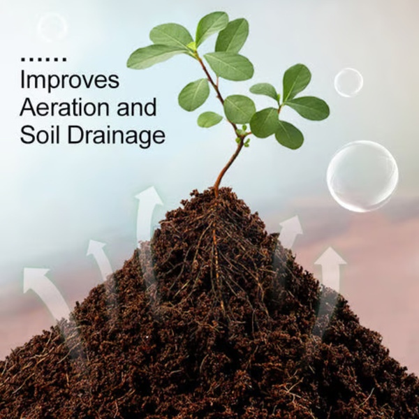 PLANTCOIR-3831127628885-EN-5__221225