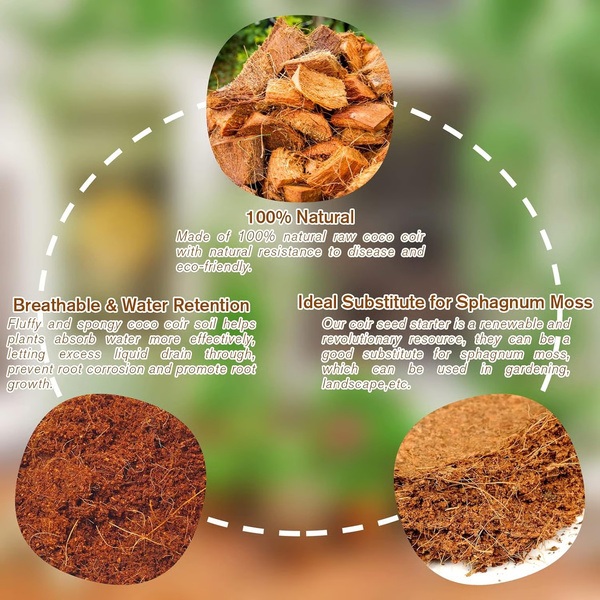 PLANTCOIR-3831127628885-EN-7__221225
