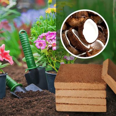 Organic coconut coir soil | PLANTCOIR