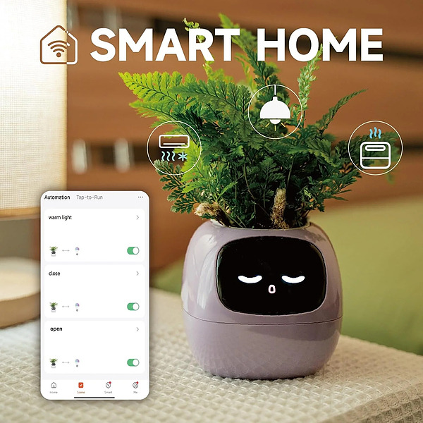 SMARTPLANTY-3831127634478-EN-2__310126