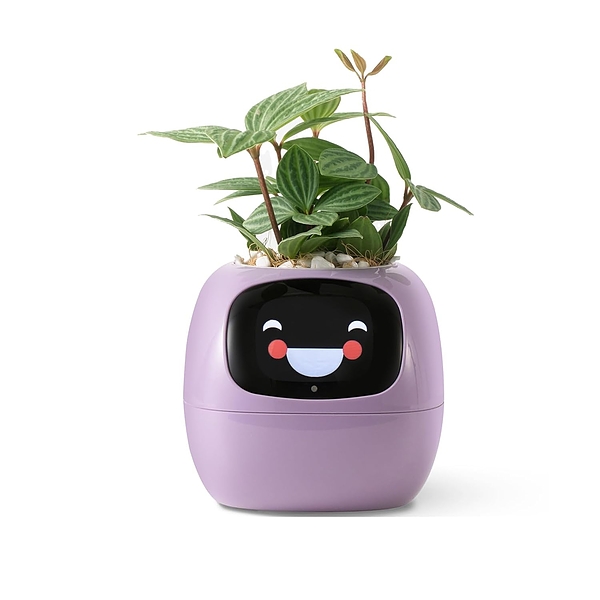 SMARTPLANTY-3831127634478-N-1__310126