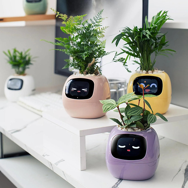 SMARTPLANTY-3831127634478-N-6__310126