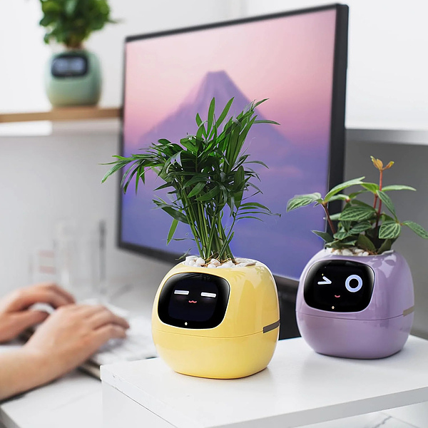 SMARTPLANTY-3831127634478-N-7__310126