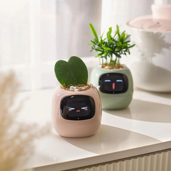 SMARTPLANTY-3831127634478-N-8__310126