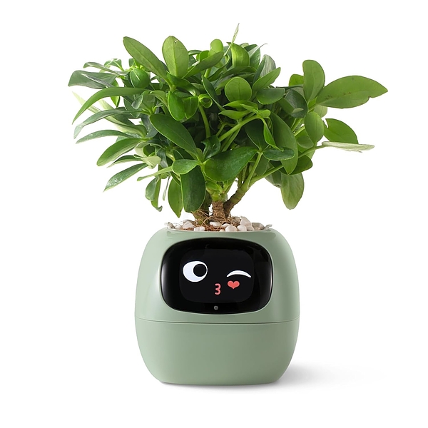 SMARTPLANTY-3831127634485-N-9__310126