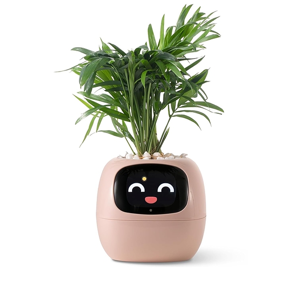 SMARTPLANTY-3831127634492-N-12__310126