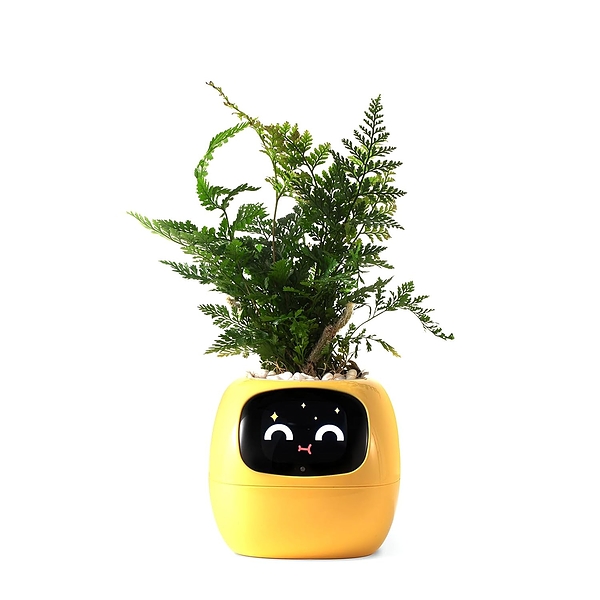 SMARTPLANTY-3831127634499-N-11__310126