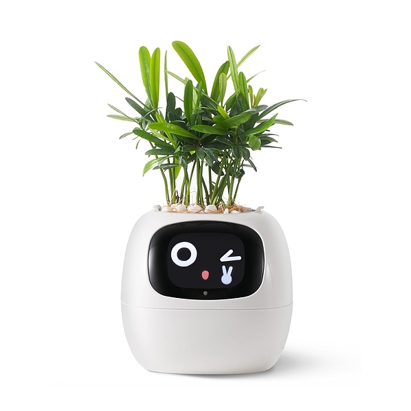 SMARTPLANTY-3831127634506-N-10__310126