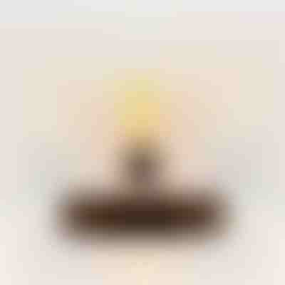 Floating magnetic light bulb | LEVITALUM