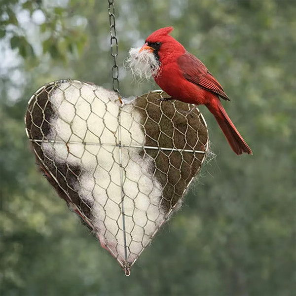 NESTBIRD-3831127639581-N-6__200226