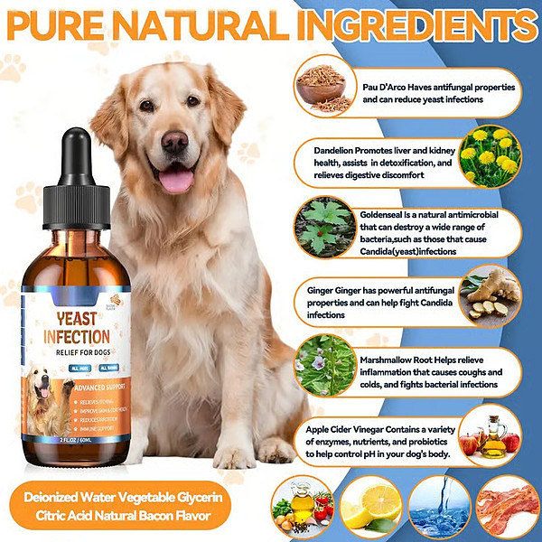 PAWFRESH-3831127634779-EN-1__020226