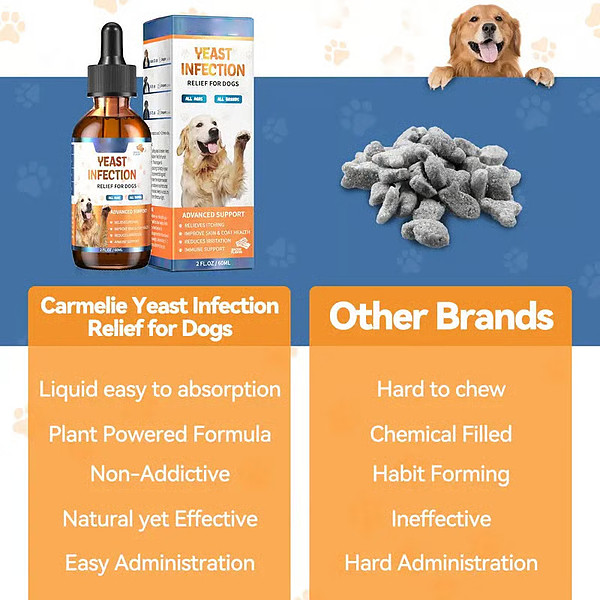 PAWFRESH-3831127634779-EN-2__020226