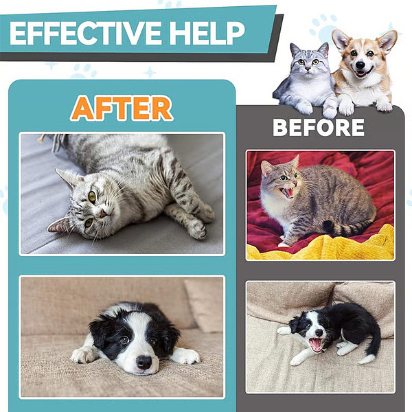 PAWFRESH-3831127634779-EN-3__020226