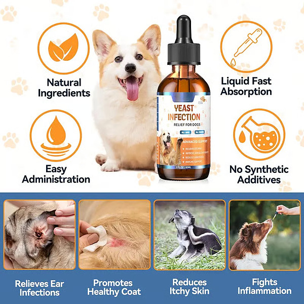 PAWFRESH-3831127634779-EN-5__020226