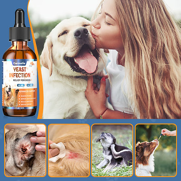 PAWFRESH-3831127634779-EN-6__020226