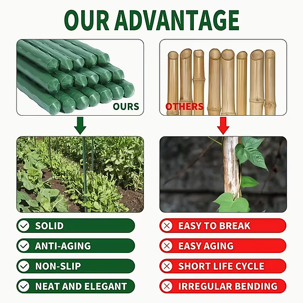 PLANTSUPRA-3831127639917-EN-3__270226