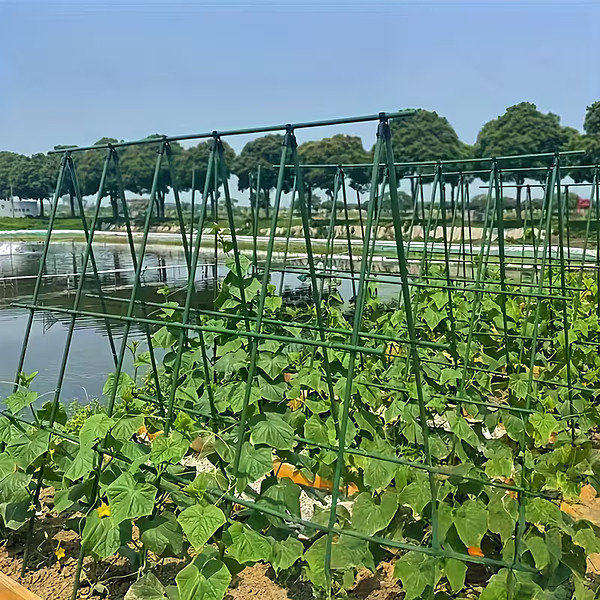 PLANTSUPRA-3831127639917-N-1__270226