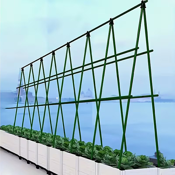 PLANTSUPRA-3831127639917-N-4__270226
