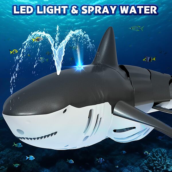 SHARKOR-3831127638965-N-18__200226