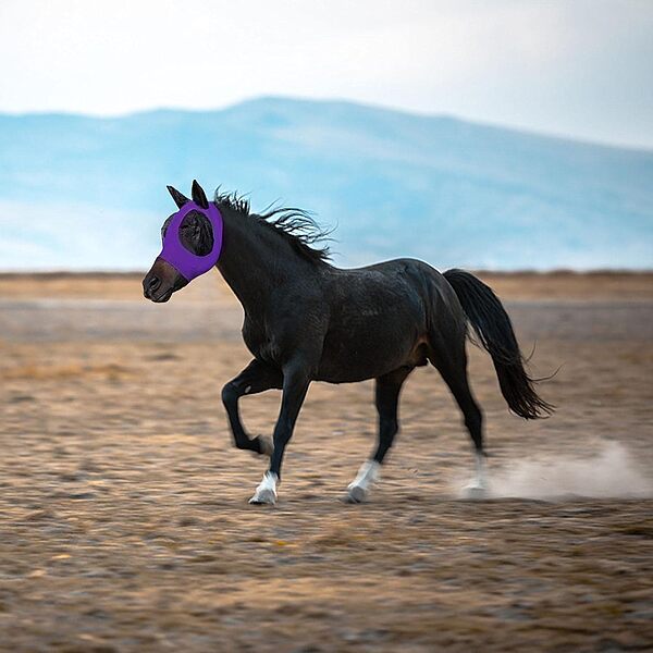 EQUISHIELD-3831127643607-N-6__300326