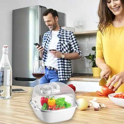 Natural rapid meat defroster | SAPITHAW